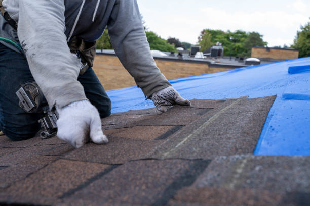 Quick and Trustworthy Emergency Roof Repair Services in Los Angeles, CA